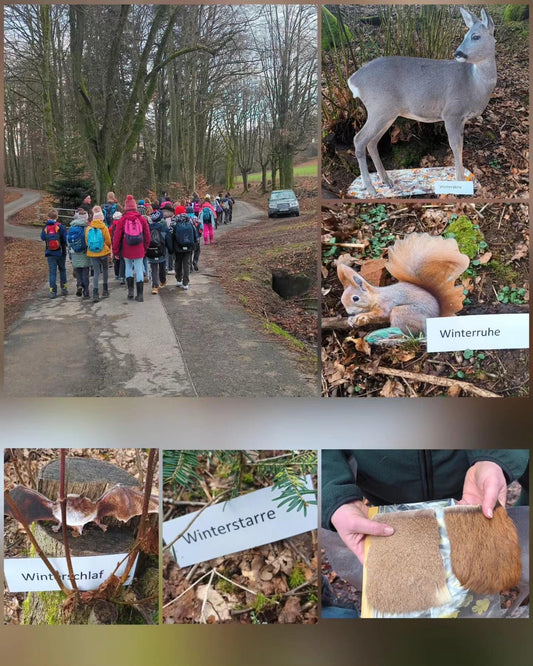 Lerngang mit den Förstern in den Wald